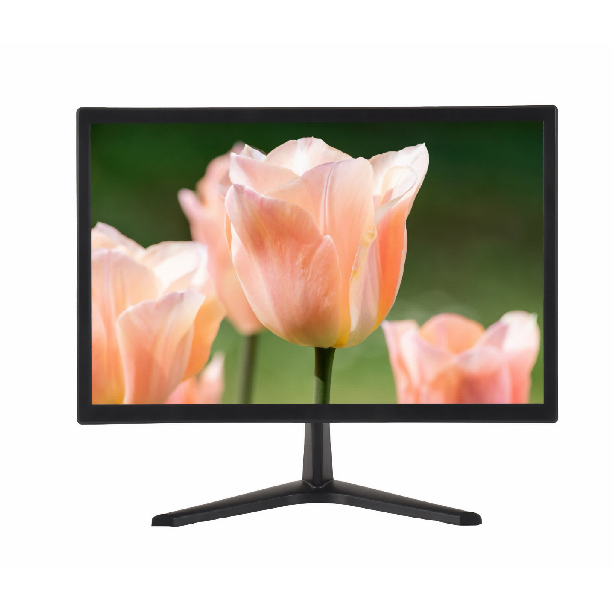 DL-20 Compact LCD Monitor with Built-in Speakers